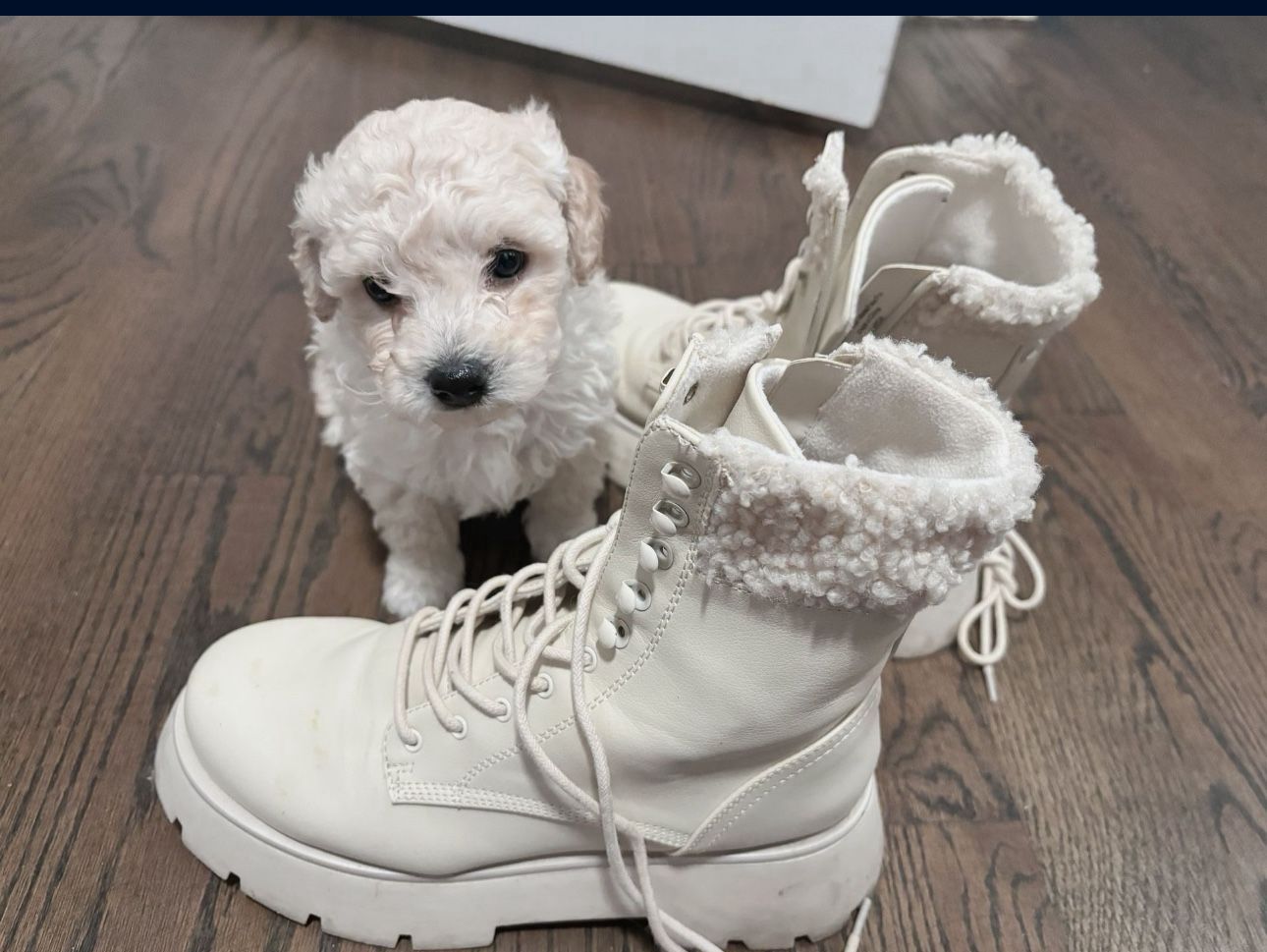 best gift to kids to play with!