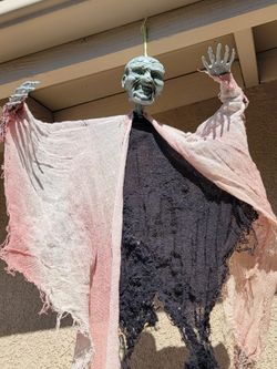 Hanging Halloween Skeleton and Ghoul Decorations