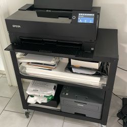 Epson P900 Printer, Free Cb2 Stand, Art Paper