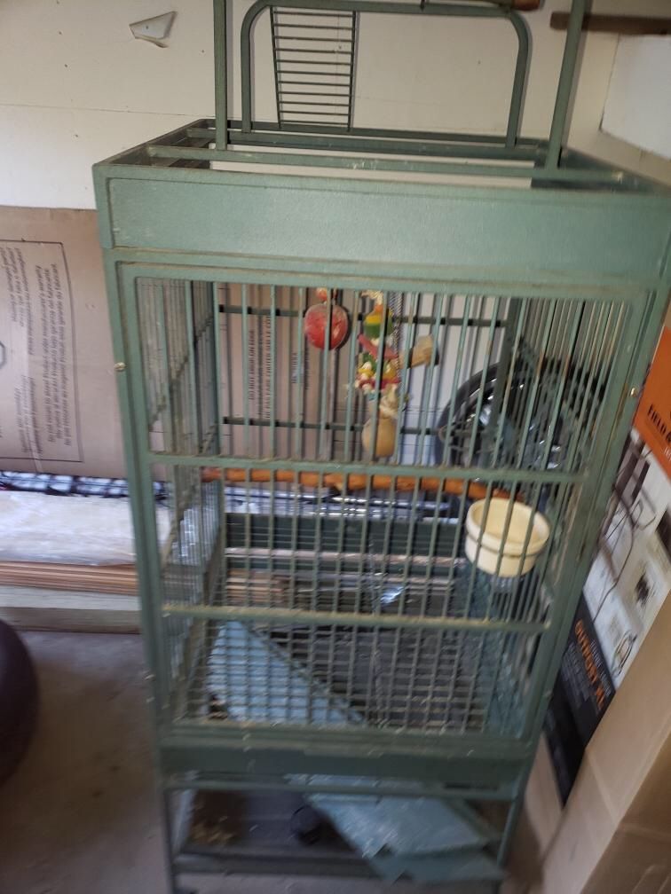 Bird Cage