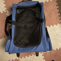 Pet Backpack Transportation 