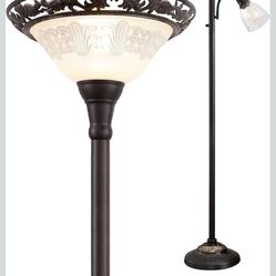 Brand New Matte Black Floor Lamp Dual Light 