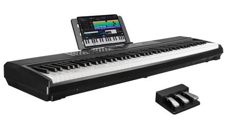 STRICH 88 Keys Weighted Keyboard with Sustain Pedal, Hammer-Action Digital Piano, 2x15W Built-In Speakers, Full-size Electric Piano Keyboard#3552AR5