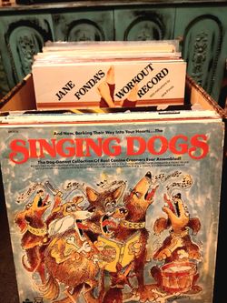 BIZARRE LOT (14) Funky Fun • Crazy Weird VINYL RECORDS