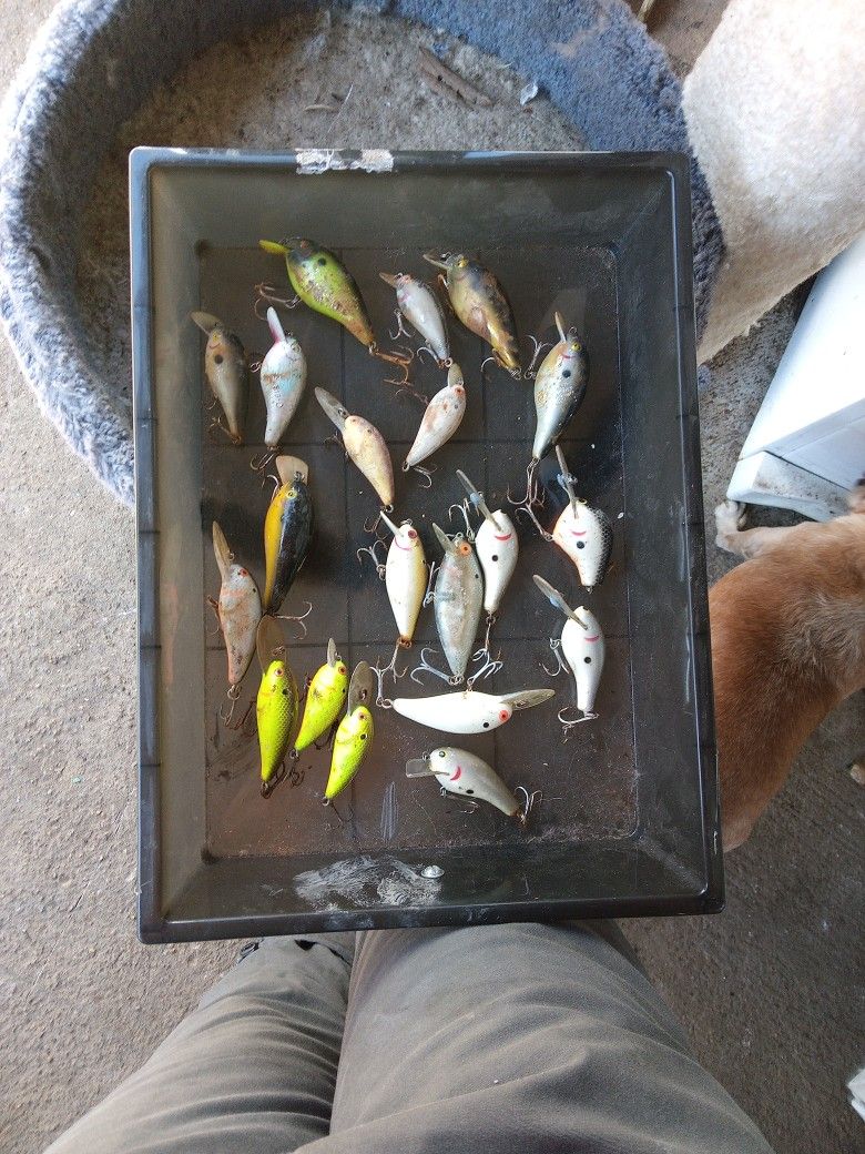 Fishing Lures And Miscellaneous Fishing Supplies