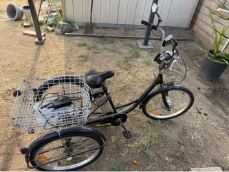 Electric trike