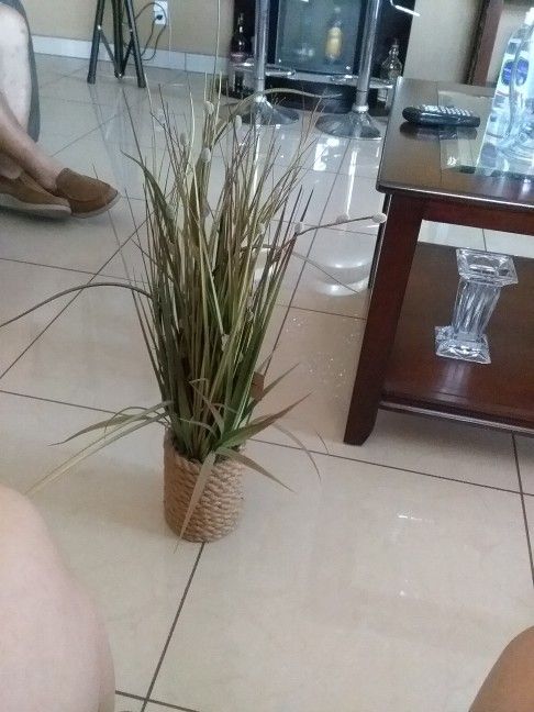 Planta Artificial