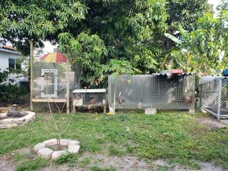 Large cage