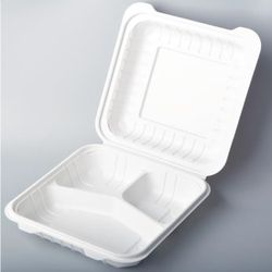 Sugarcane Container All sizes