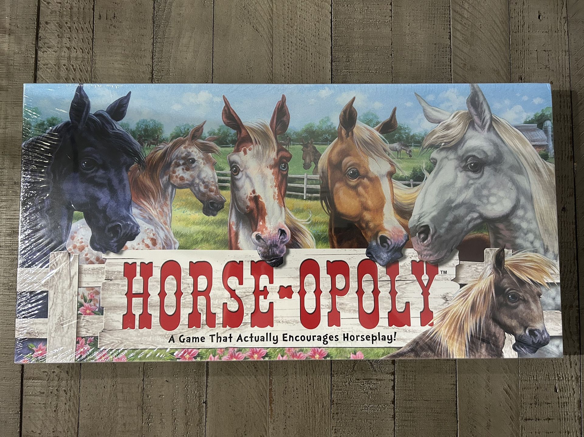 Horse-opoly Board Game