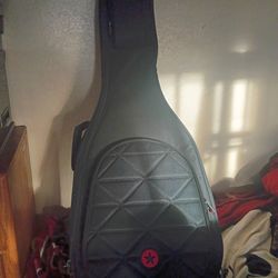 Road runner guitar case