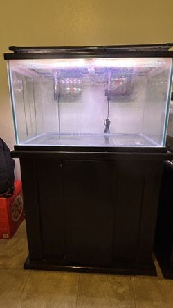 40 Gallon Glass Aquarium With Hard Wood Stand Free Filter & Lights.