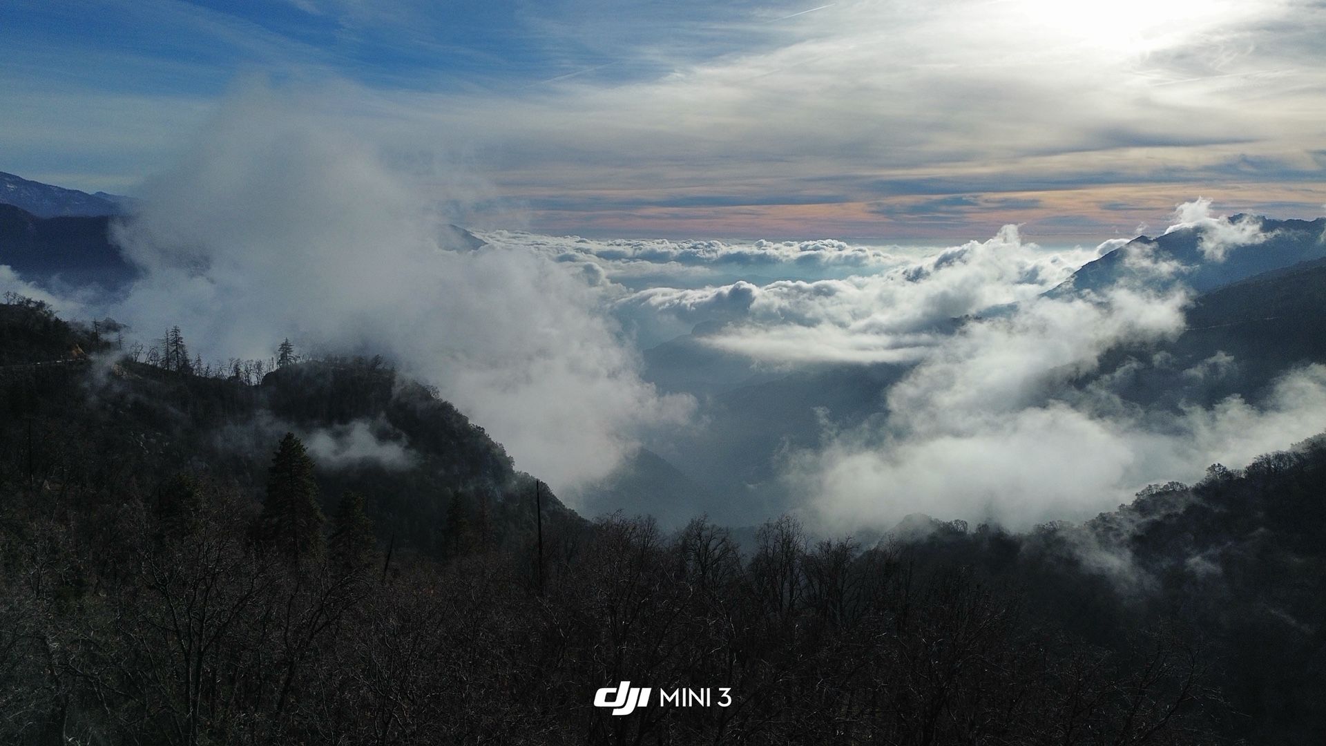 Arial Photography