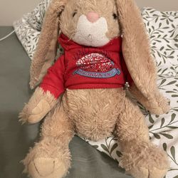 Bunny Stuffed Animal