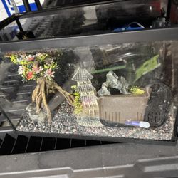 5 Gal Fish Tank And Accessories 