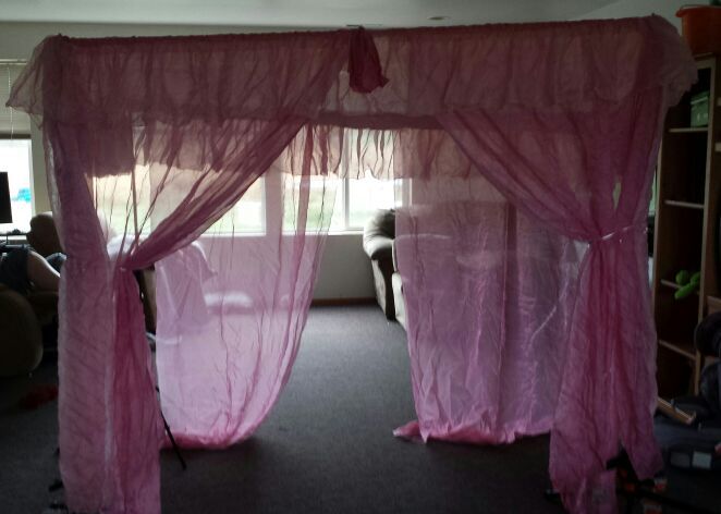 twin bed canopy curtain