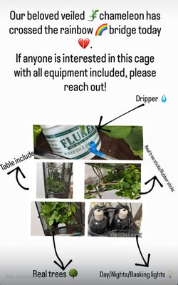 Cage/Chameleon/ Reptile/habitat