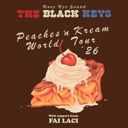 The Black keys in Las Vegas
