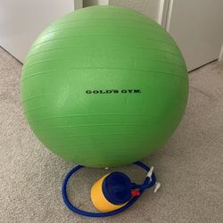 Gold Gym Exercise Ball 