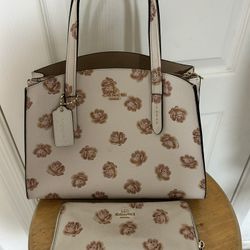 Coach Purse & Wallet