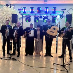 Vihuela Mariachis 
