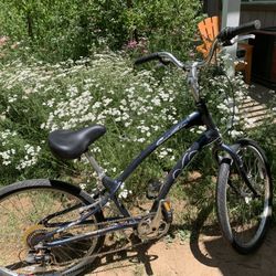 Bike 26 In