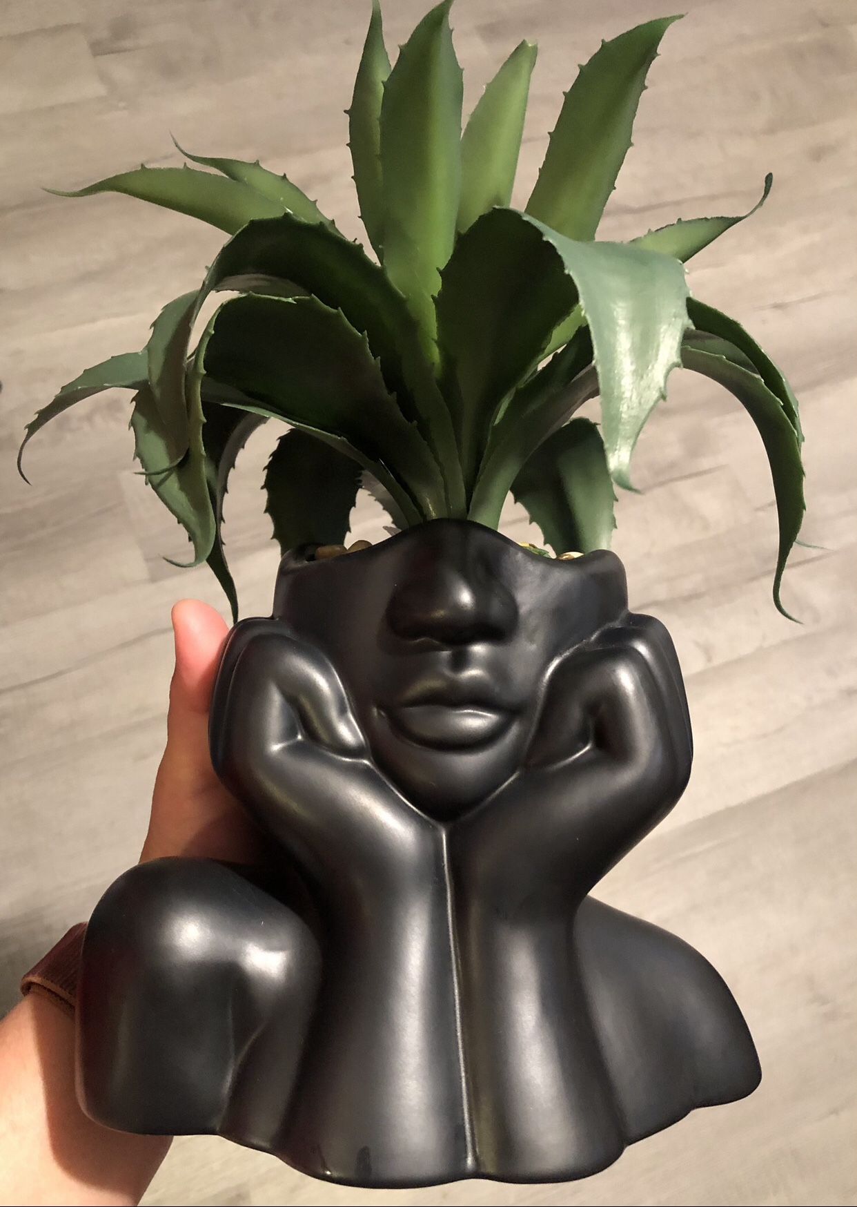 Beautiful Face & Bust Resin Planter In Black Matte
