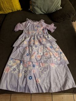 Encanto Dress Costume