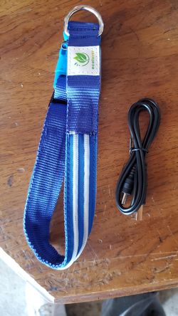 Light up dog collar