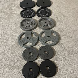 Standard Weight Plates 130LBs 