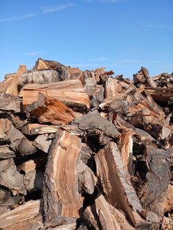 Firewood