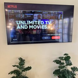 🌿🖥Your 65" Super Bowl TV🏈🌿