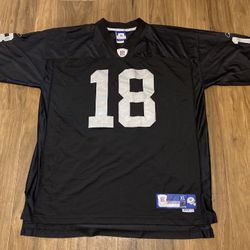 Raiders Jersey / Moss XL