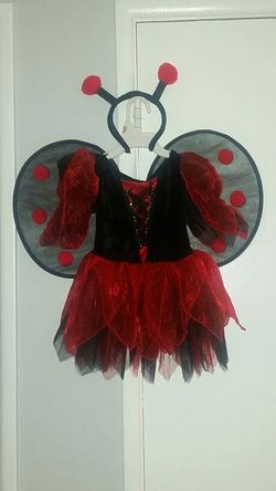 Ladybug costume