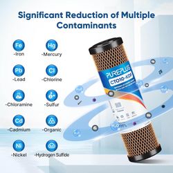 PUREPLUS 10" x 2.5" RV Water Filter Replacement