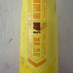 Hype Fire Baseball bat