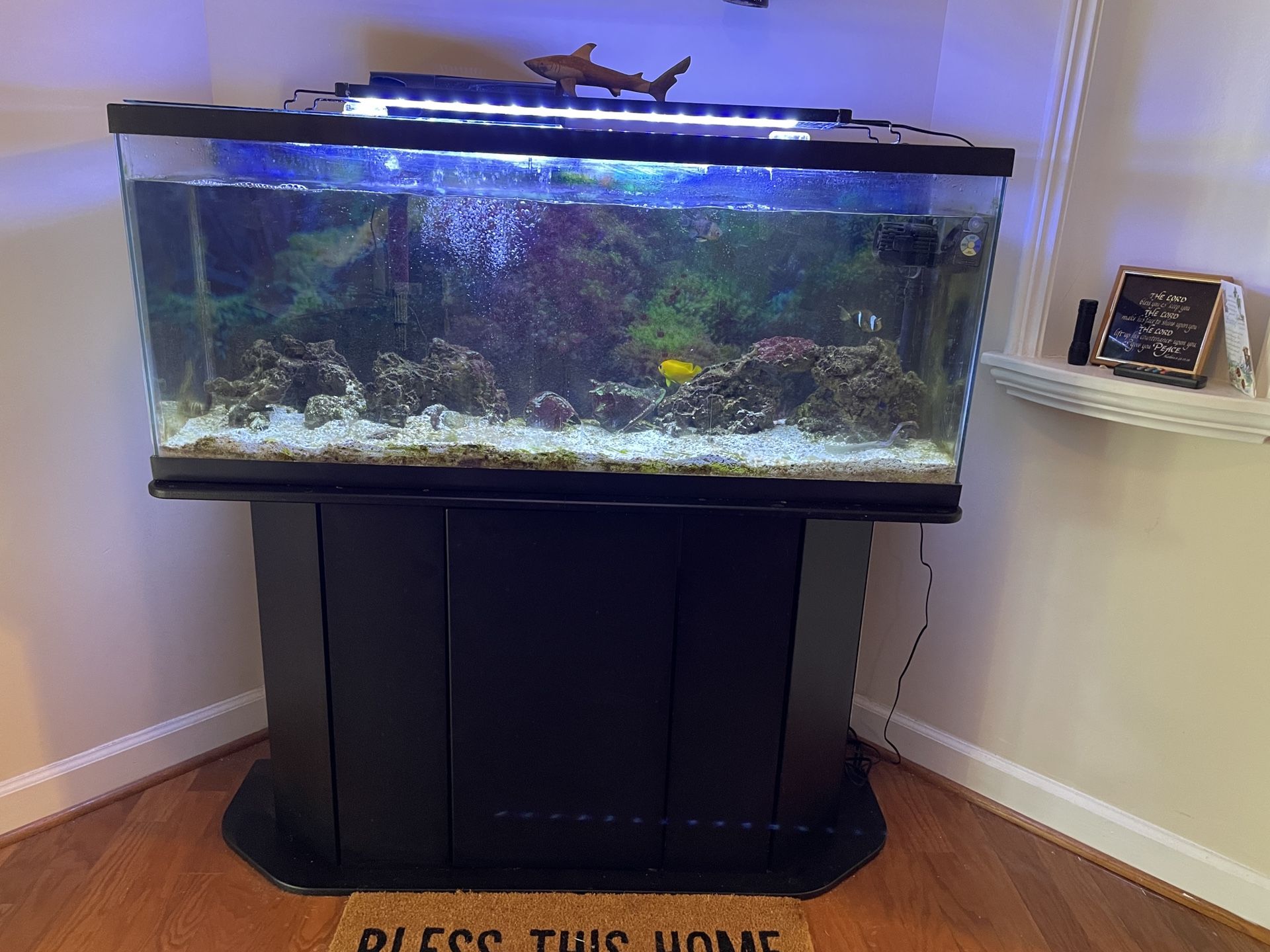 Aquarium Stand - 50 Gallon
