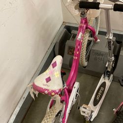 Mystic Pink Bike
