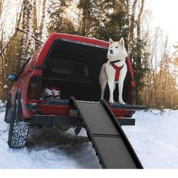 Dog Ramp - Excellent Condition 