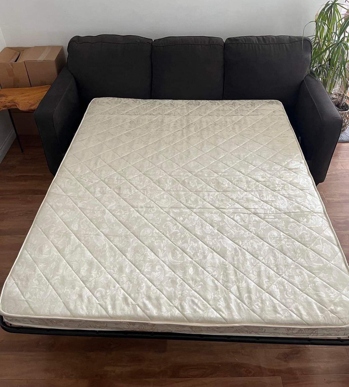 Sofa Coach + Mattress
