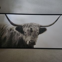 Bull Art Work