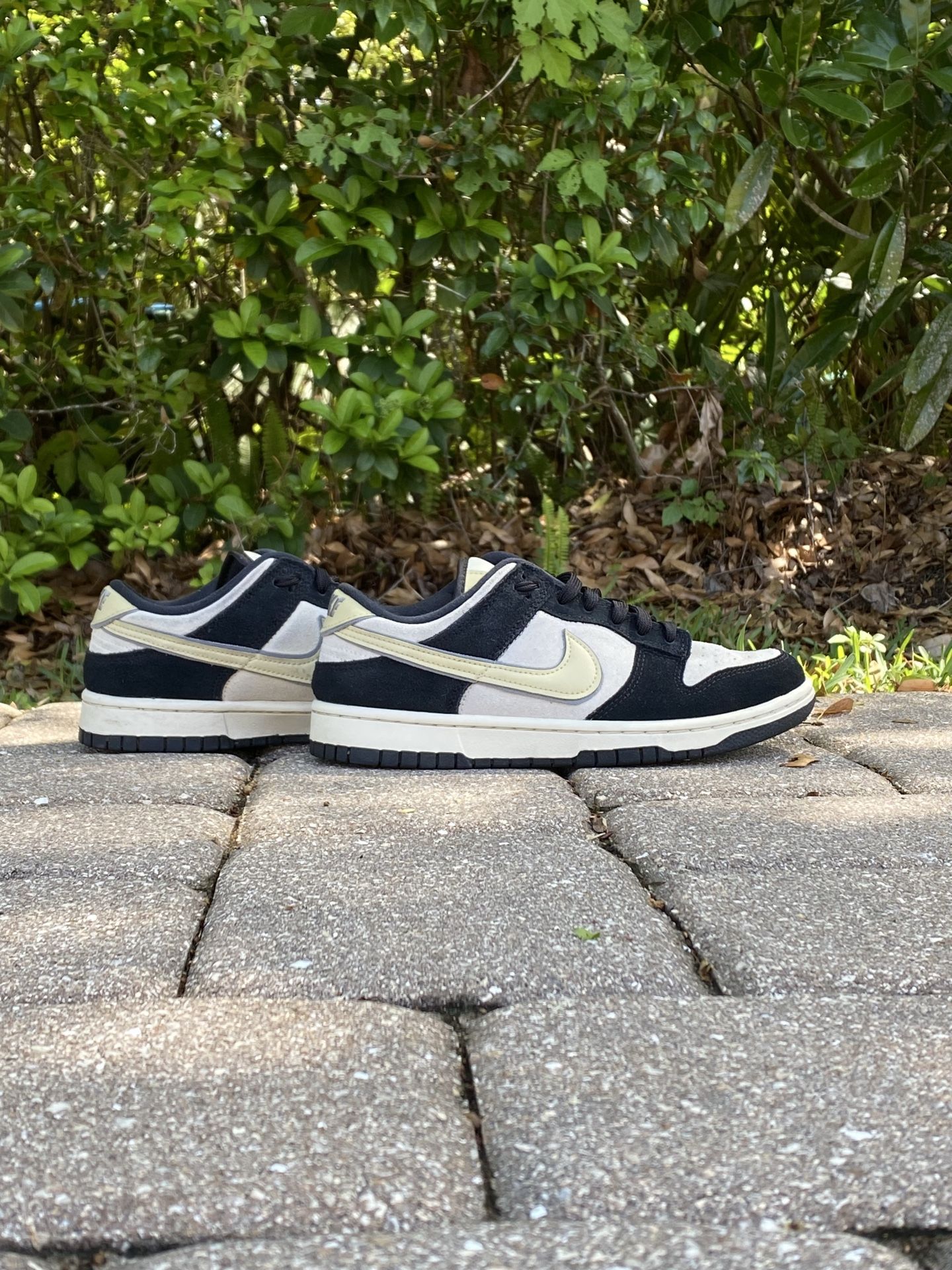Nike Dunks
