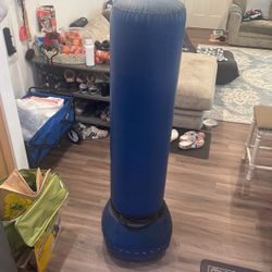 Punching And Kicking Bag
