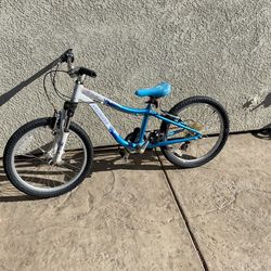 Specialized 20 Inch Girls Bike