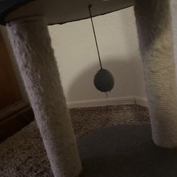 Cat Scratcher And Post 🐱 