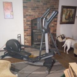 NordicTrack Audiostrider 800