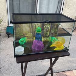 10-Gallon Tank (set Up For Hamsters Or Mices)