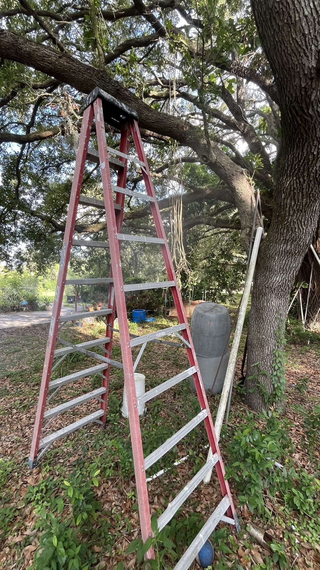 Ladder