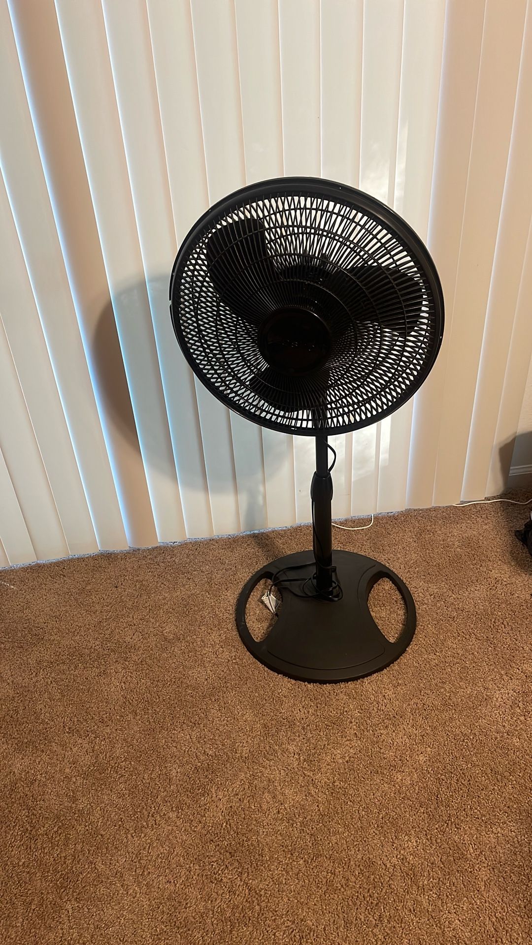 Fan