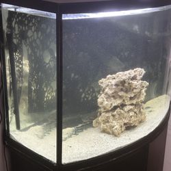 Fish Tank